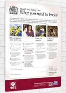 Health and Safety Law Poster - What You Need to Know - Front